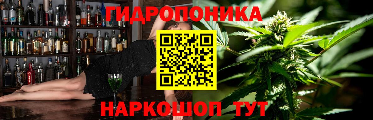 Каннабис планчик Озёры